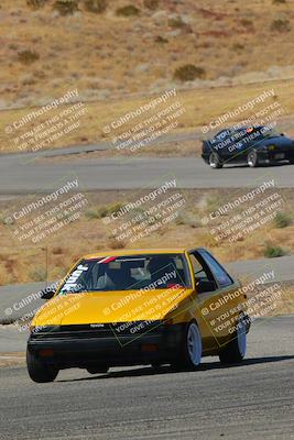 media/Feb-22-2025-Team Topak Racing (Sat) [[cb57a51a40]]/86 Party Brigade/Turns 13 and 14/